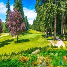 Tranh dán tường Hàn Quốc 3d khổ lớn ở Hà Nội NA - 454